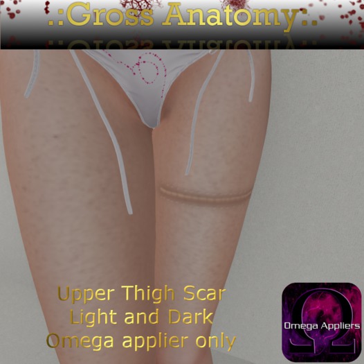 .:GA:. Upper Thigh Stitches