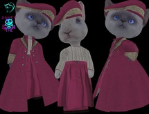 Dinkie Pink Suede Coat Set