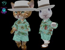ALOHA Boys Set 5