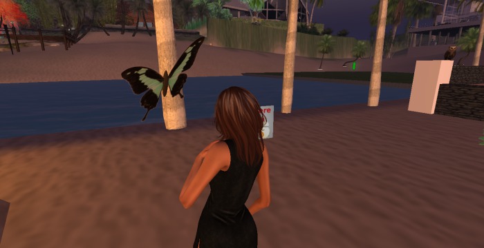 Butterflies (fly around sim)