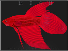 [Feliz] Betta Fish - Micro and Regular Mesh - Full Perm -