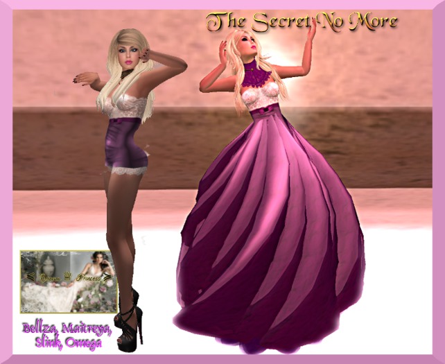 !*Dream Princess*! The Secret No More   (box)