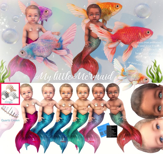 *[BB] Seashell Ring Set