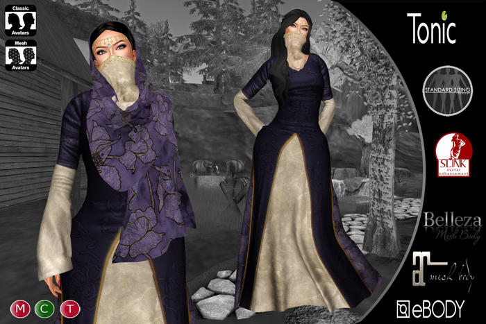 C&N Medieval dress Anastasia Purple v2