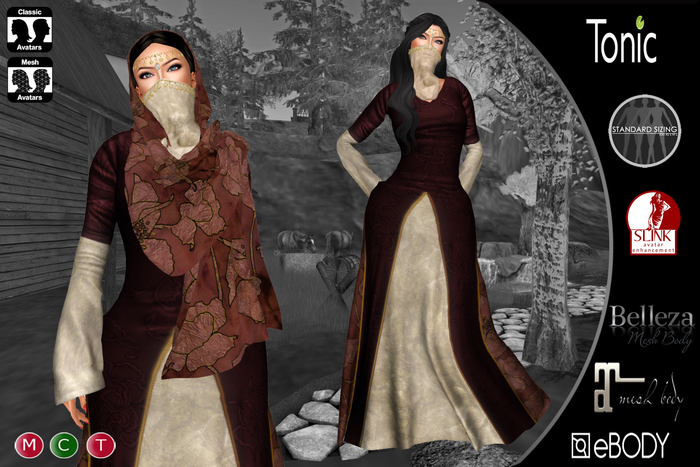 C&N Medieval dress Anastasia Brown v2