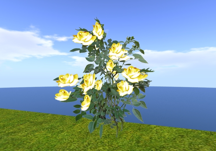 Yellow Rose Bush (Flexi)