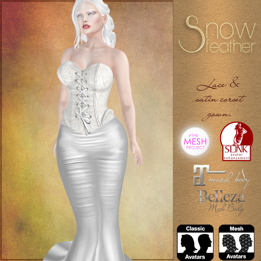 SF Lace corset cream gown