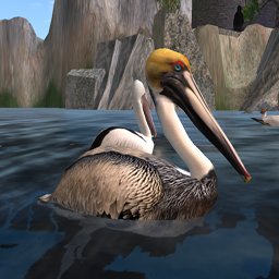 Animania Pelican Brown