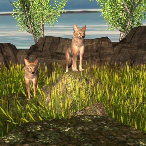 Unity Empire Coyote
