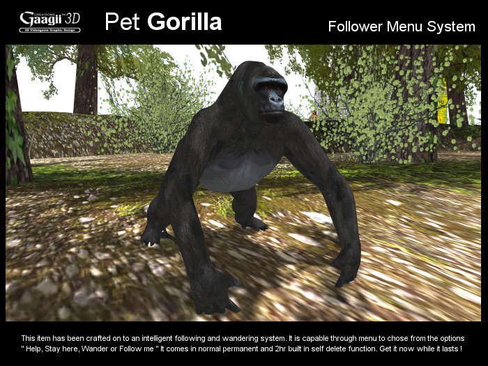 Gaagii 3D - Pet Gorilla - Folllowing system