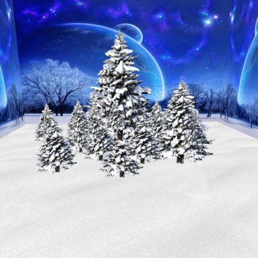 Panoramic winter pines 7