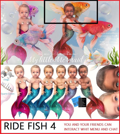 *[BB] The Friendly Fish Ride 04