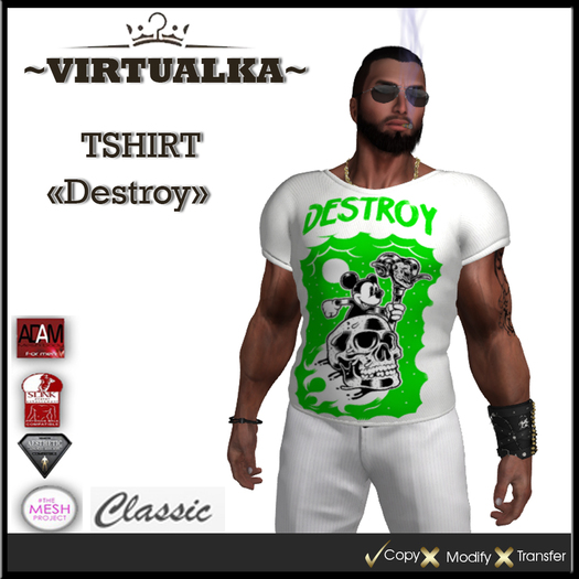 ~V~ TSHIRT "DESTROY"