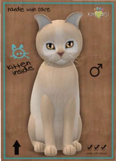 KittyCatS Box - Pandie - Fawn