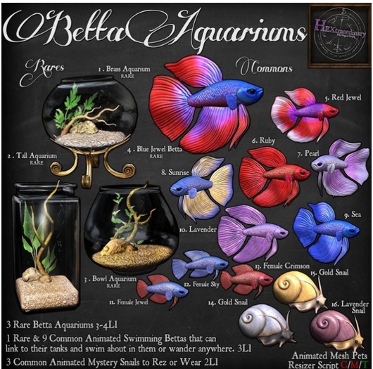 5. *HEXtraordinary* Male Betta - Red Jewel