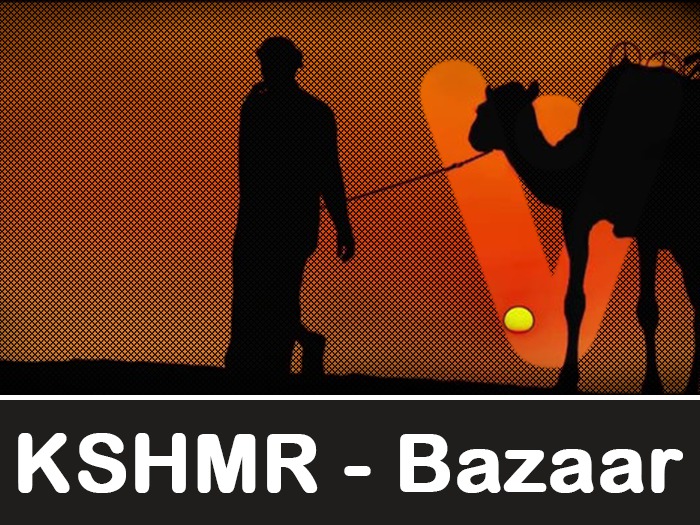 KSHMR - Bazaar (Vaxim Remix)