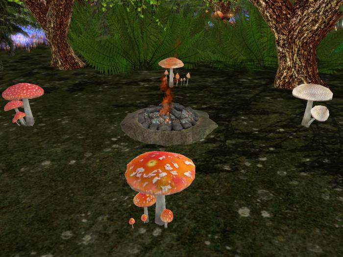 *Xtal*  Comfy Shrooms & Campfire
