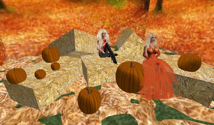 pumpkin patch