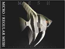 [Feliz] Angelfish - Micro and Regular Mesh - Full Perm -