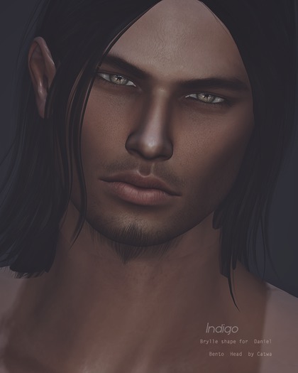 [INDIGO] Brylle shape for Daniel Bento