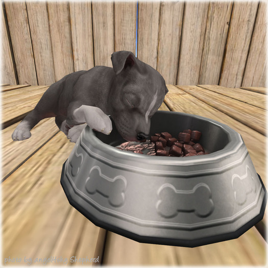 JIAN Playful Pibbles BOX 18. Food Coma
