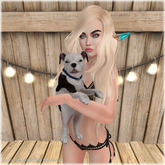 JIAN Playful Pibbles BOX 15. White Held Pup