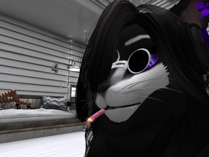 TDV Sunglasses Mesh (Furry Mainly)