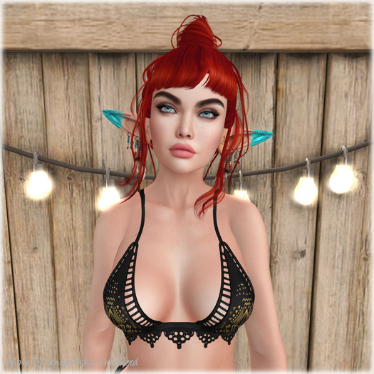 Lamb. Asleep - Red Pack