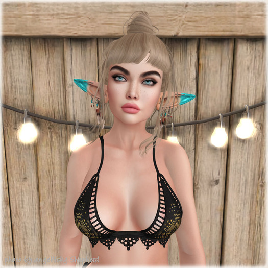 Lamb. Asleep - Dark Blonde Pack