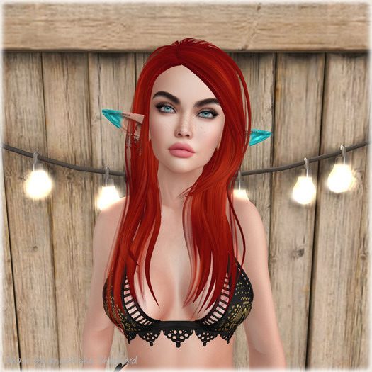 Lamb. Ask - Red Pack