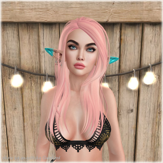 Lamb. Ask - Pastel Pack