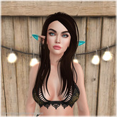 Lamb. Ask - Dark Brown Pack
