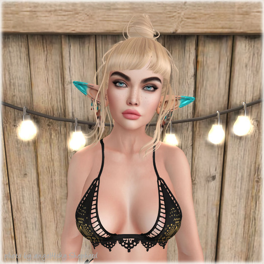 Lamb. Asleep - Variety Pack