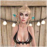 Lamb. Asleep - Variety Pack