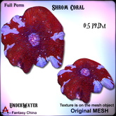 Full Perm Coral