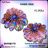 Full Perm flower coral