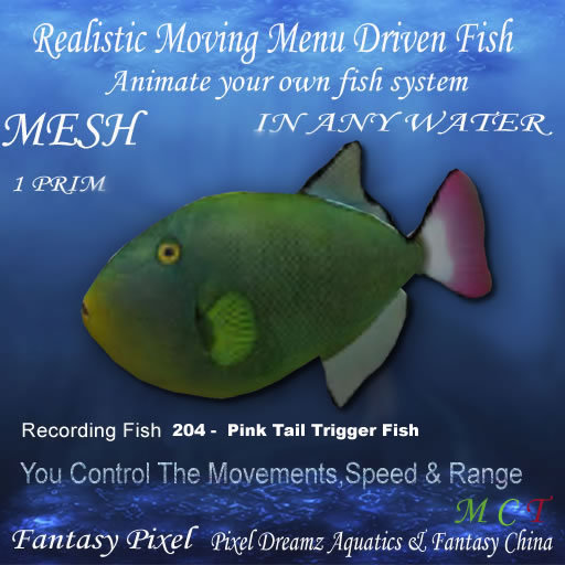 FP -Realistic Moving Menu Driven Fish YOU CONTROL Recording Fish 204 - Pink Tail Trigger Fish bp