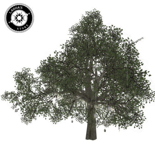 Garden Party - Big Trees - RARE (boxed)