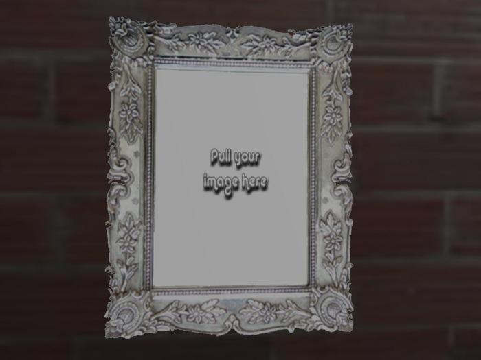 Silver Frame