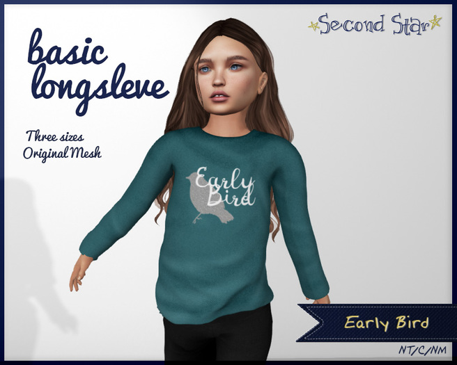 Basic Longsleeve - Early Bird