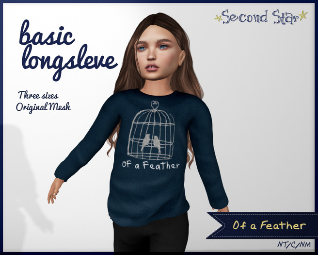 Basic Longsleeve - Of A Feather