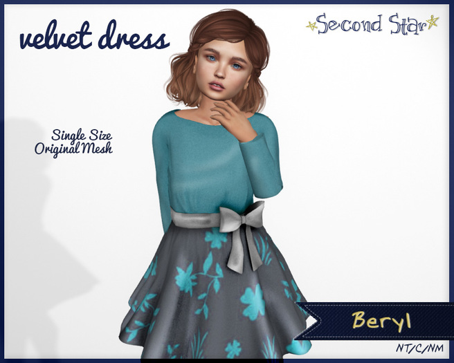 Velvet Dress - 