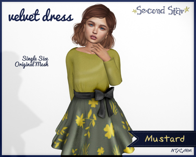 Velvet Dress - 