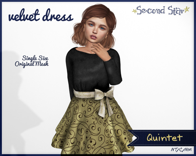 Velvet Dress - 