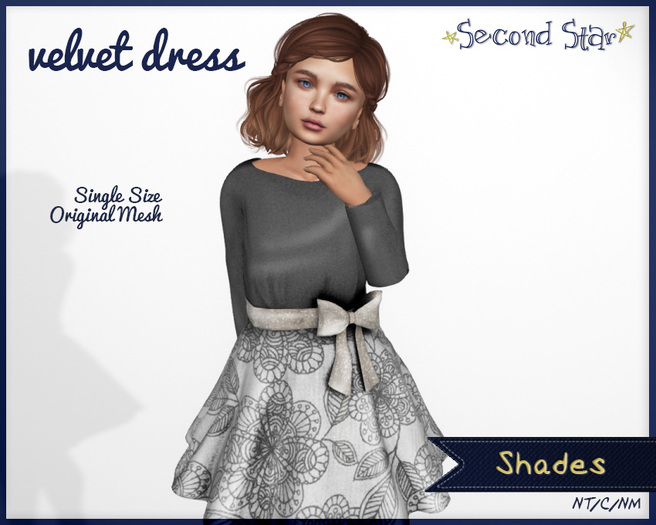 Velvet Dress - 