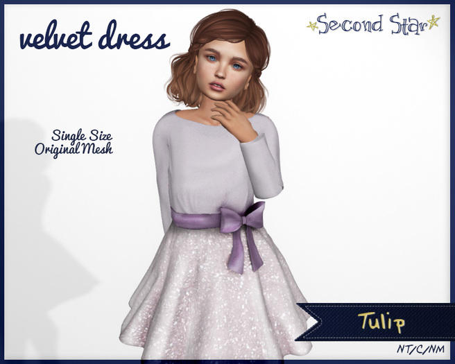 Velvet Dress - 