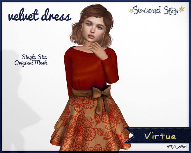 Velvet Dress - 