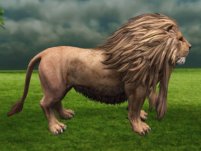 Lion - Mesh
