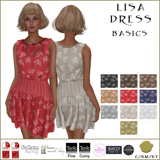 BM Lisa Dress Basics DEMO