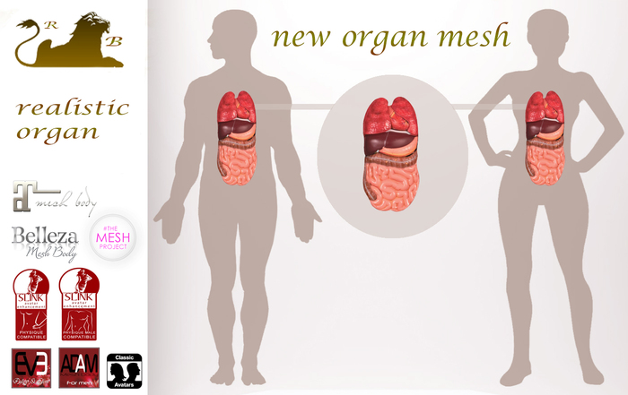 new organ mesh